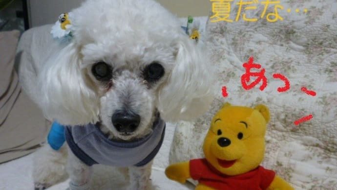 今日は四国の梅雨明け…( ̄。 ̄) 暑いけど…雲は夏っぽくないね~