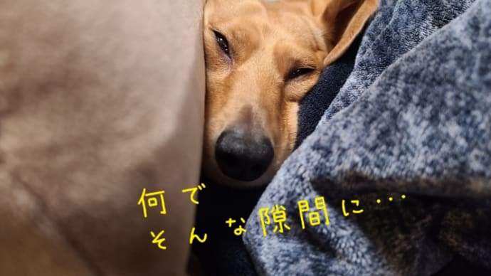 隙間