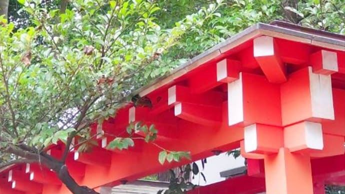 お宮参り