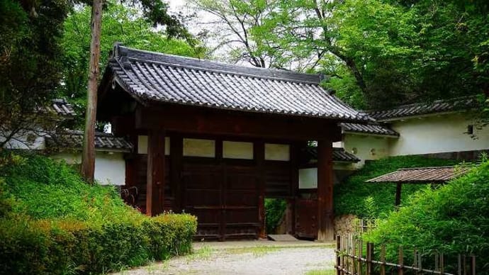 2024年6月群馬県館林市「花菖蒲」を記録してきた。