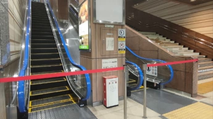 かなりの雷雨でしたが…