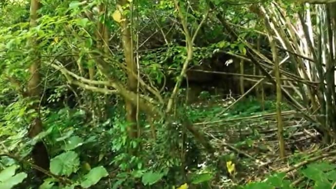 Vol.359 泉川古墳群：4号墓のこと