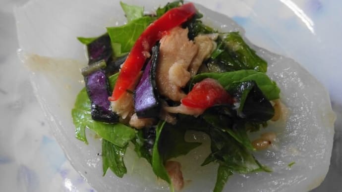 季節の野菜料理~金時草・新玉葱など