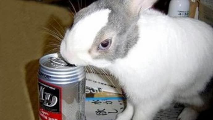 チャーとアルコール