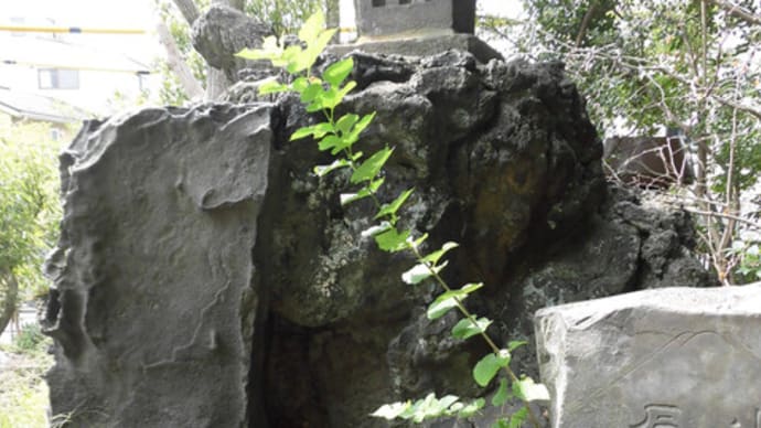 大川冨士(千住川田浅間神社冨士塚)