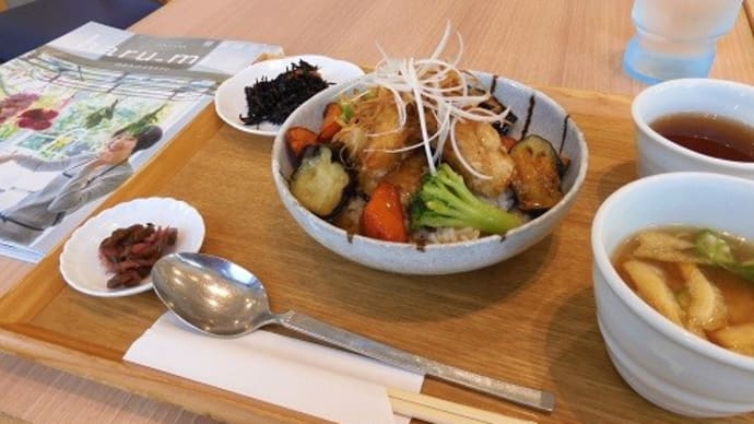 ゆとりの空間で白身魚あんかけ丼