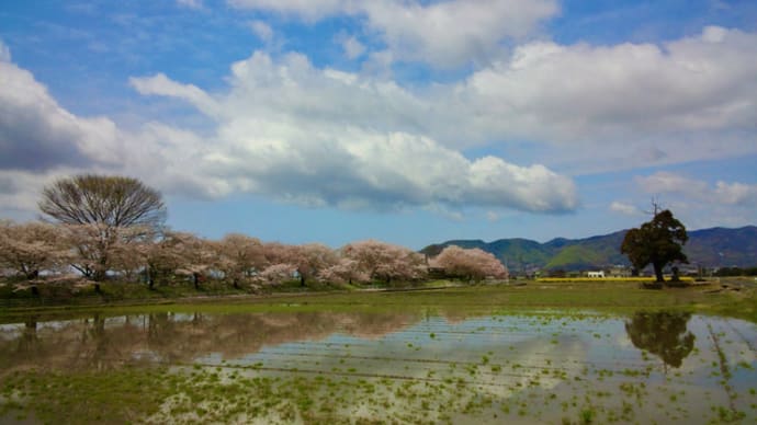 水辺の絶景は一期一会なのね
