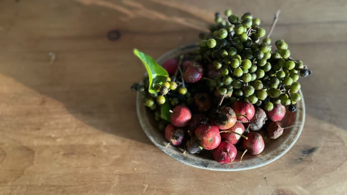 山のめぐみ〜木の実編