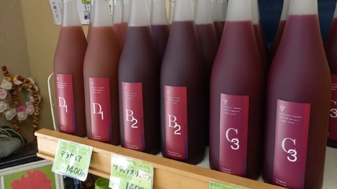 お盆の手土産に！