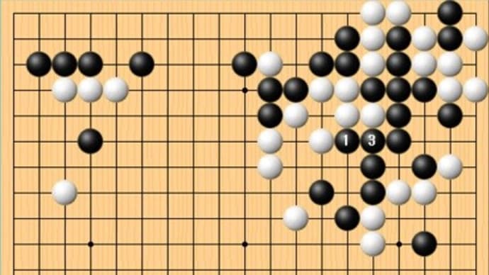 本因坊戦第6局・1日目