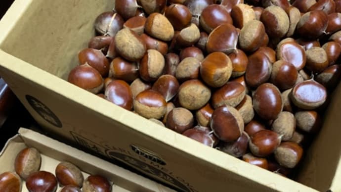 今年も♪♪いただきましたぁ⤴️⤴️🌰