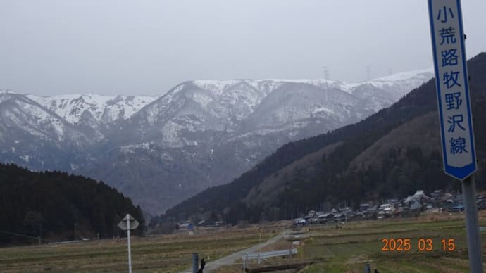 メタセコイヤ並木 (滋賀県高島市マキノ町)