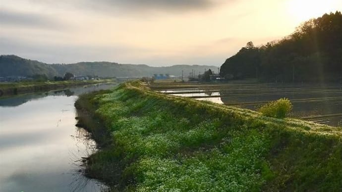 何かいいことありそうな朝・・・