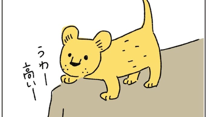 ことわざの真実