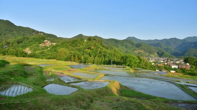 日本凋落