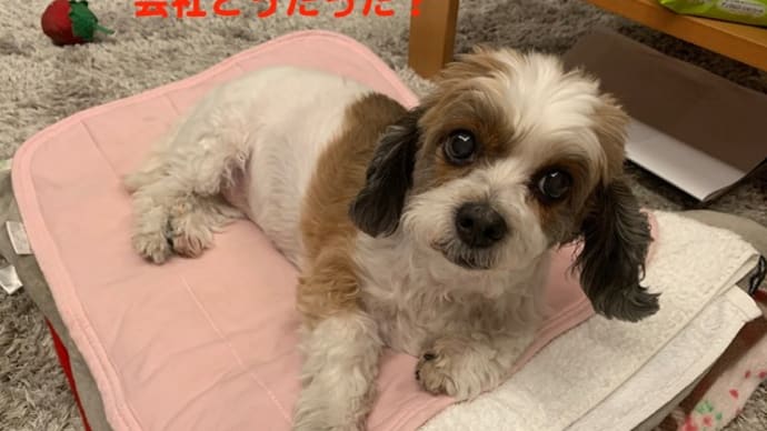 2ヶ月強ぶり!