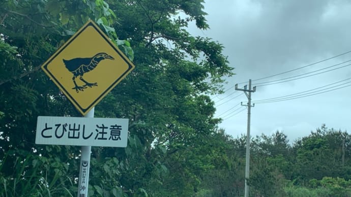 沖縄 5日目