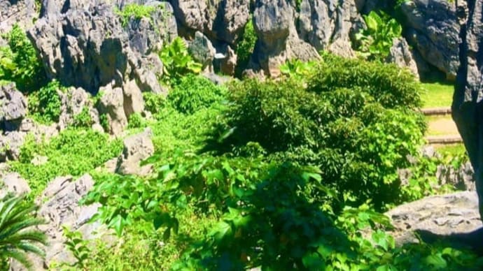沖縄一のパワースポット 大石林山