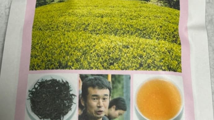 日本紅茶テイスティング