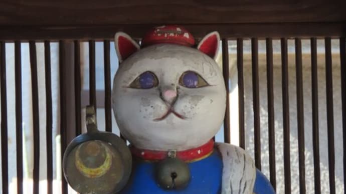 今日のとろ…