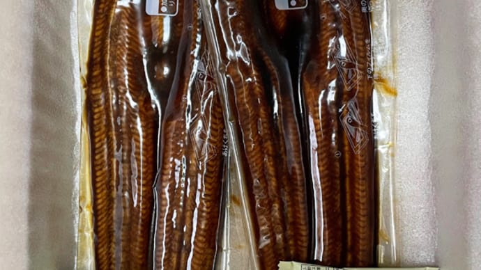 ふるさと納税 定期便《3回届》 鹿児島産うなぎ蒲焼 1kg(180g✕2尾✕3回)@鹿児島県鹿屋市 其ノ壱
