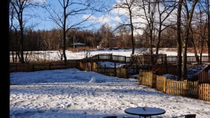 うっすら降雪❄日差しまぶしい風の一日☀