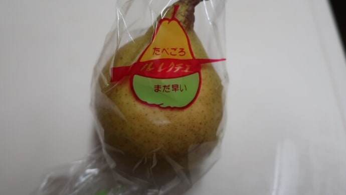 今年のXmasディナーとご挨拶♪