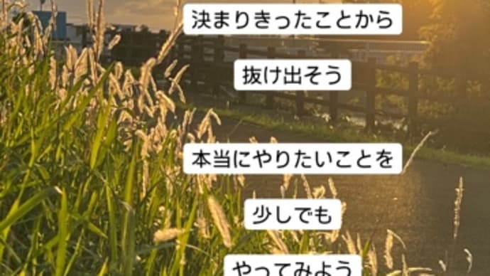 〜マヤ暦 K140 黄色い太陽・青い猿・音10〜 夜更かし好きな白の紋章
