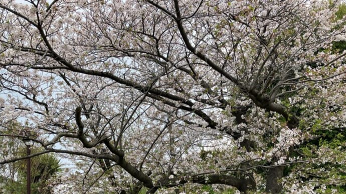 道すがら
