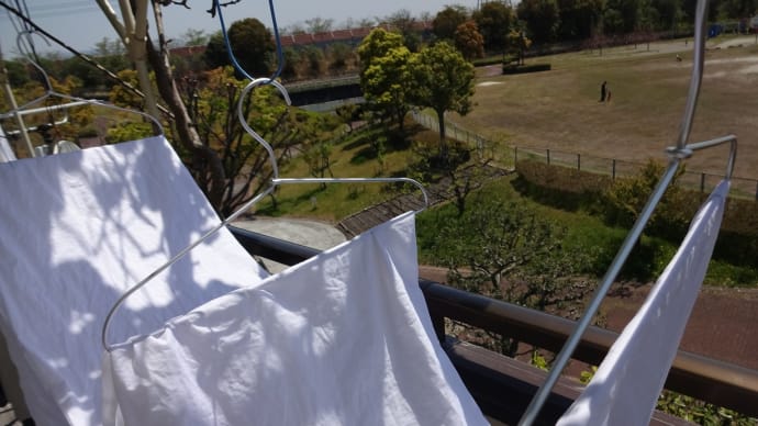 お天気が良いので、コットン生地の「水通し」「地直し」作業しています。