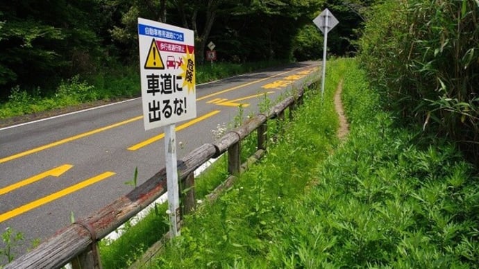 生駒縦走歩道を歩いて鐘の鳴る展望台へ