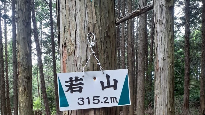 6月4日 天王山、展望台(木津川、宇治川、桂川の合流点)若山
