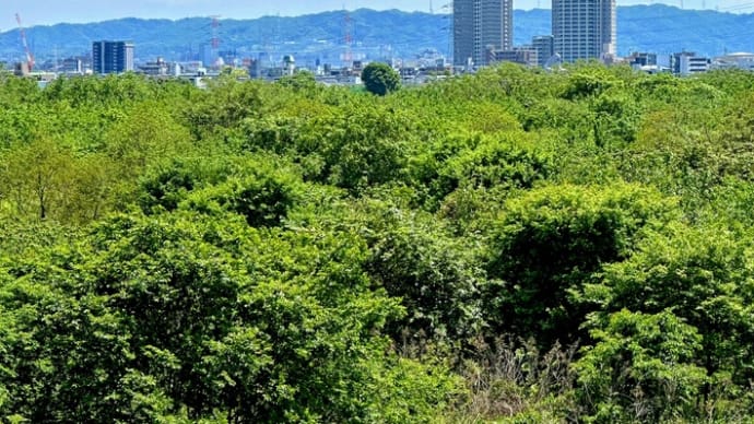 ⑦ 若狭・鯖街道歩き旅 7日目 日本海から太平洋へ