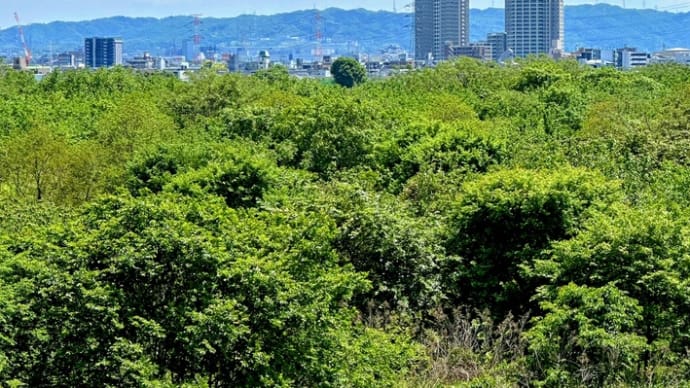 ⑦ 若狭・鯖街道歩き旅 ７日目 日本海から太平洋へ