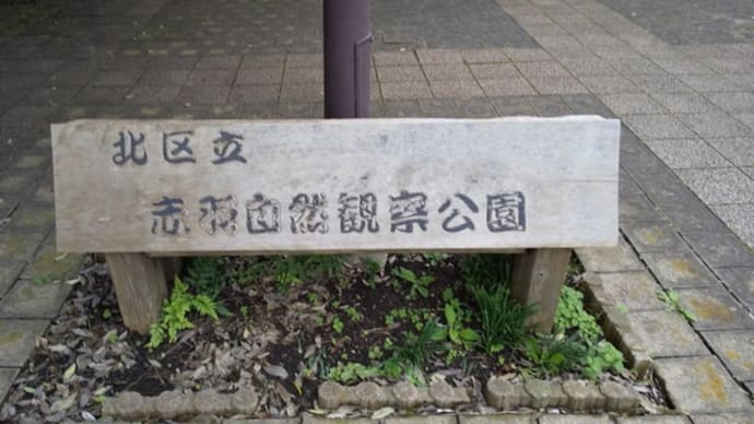 赤羽自然観察公園に寄り道