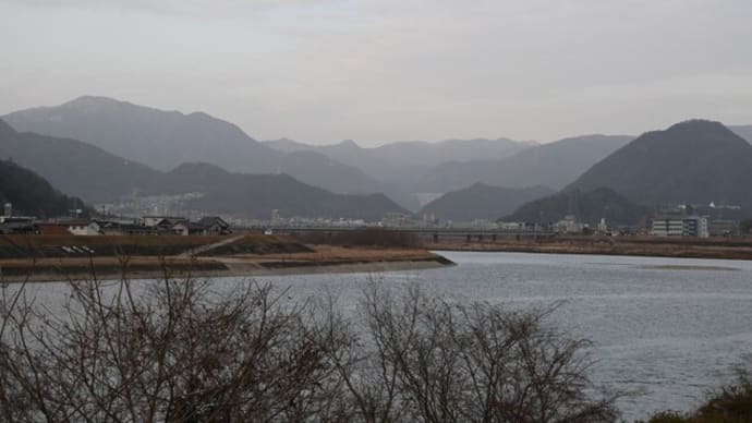 寒九の雨は降りませんでしたが・・・