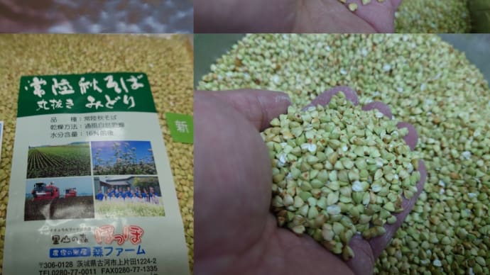 内地産、秋新〜(^_^)v