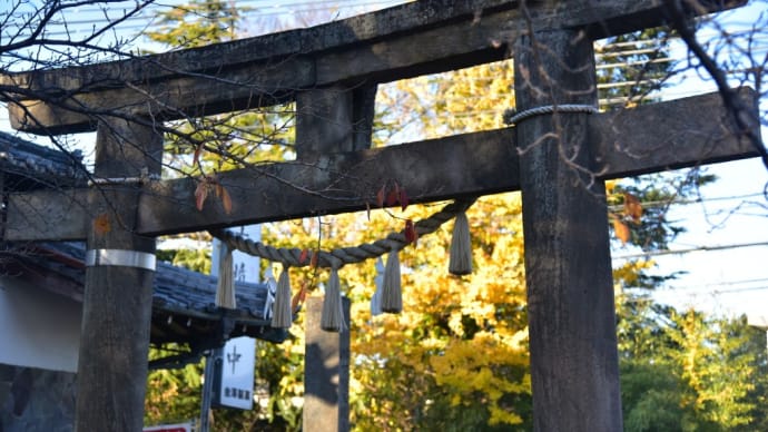 さきたま古墳公園の紅葉