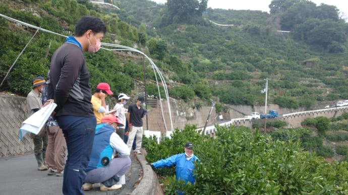 荒摘果講習会