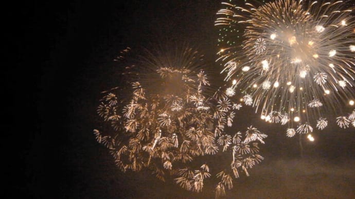 sakeの歩窓から(第21回こうのす花火大会)