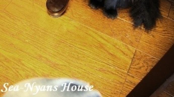 とにかく時間がかかるのよ~