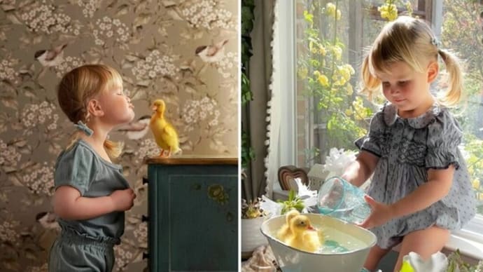愛らしさ満点! 3歳の娘とアヒルの子たちの心温まる瞬間