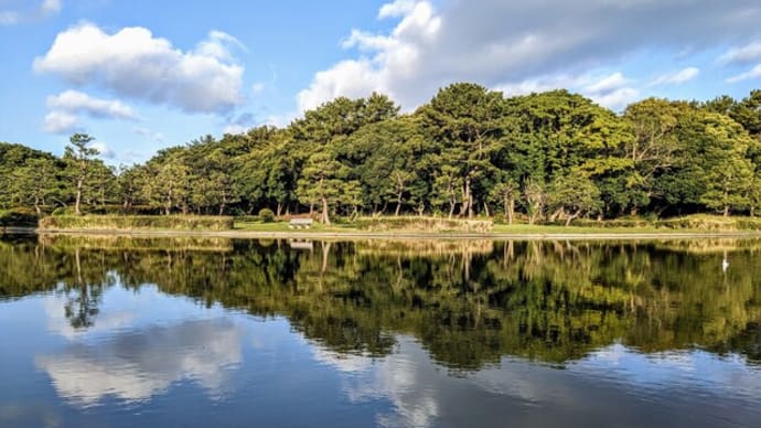 ウォーキングの途中で。
