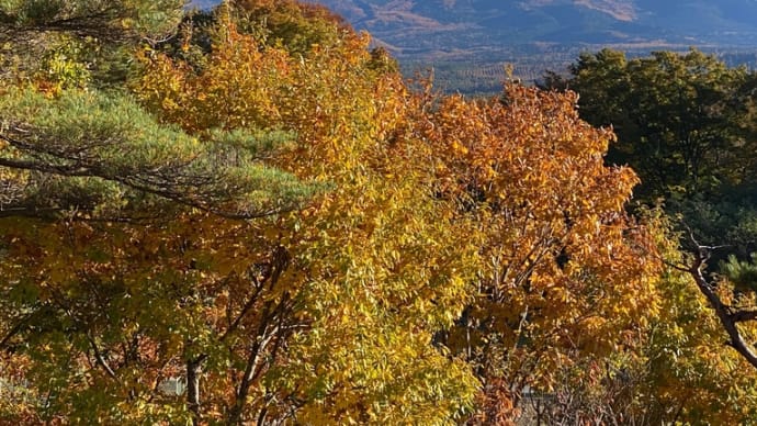 富士山と紅葉 ② 八ヶ岳