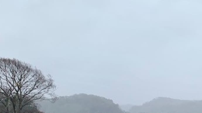 楽しいひととき