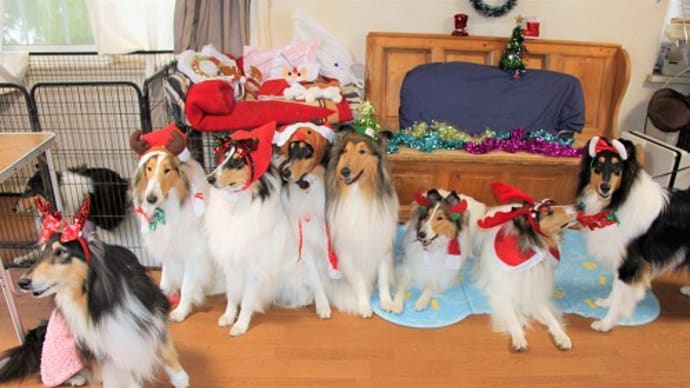 クリスマス会