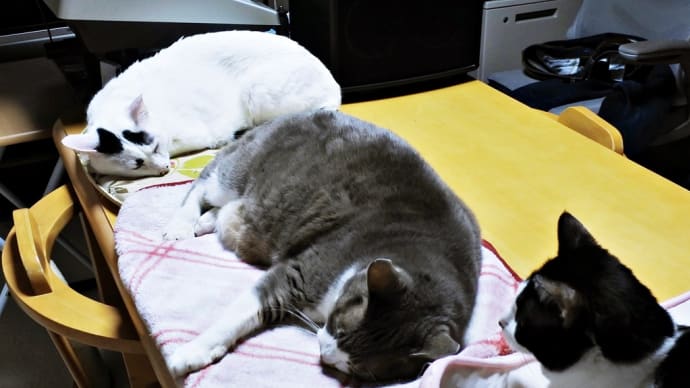 わかっちゃいるけど