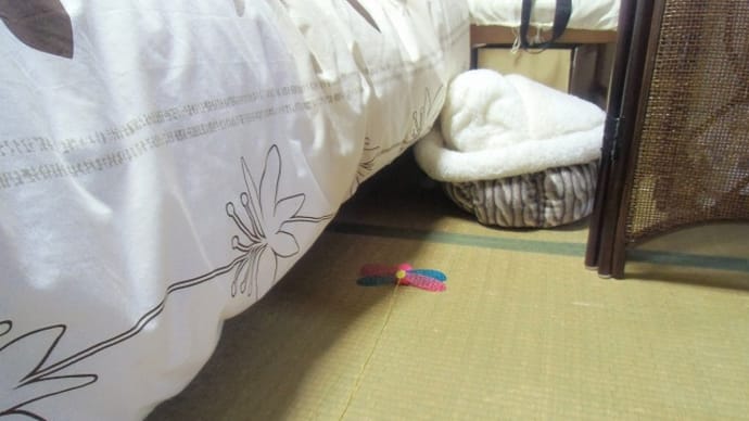 トラちゃん二日目で~す(=^・・^=)