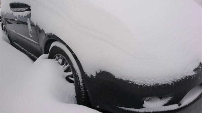 大雪と寒さの中で