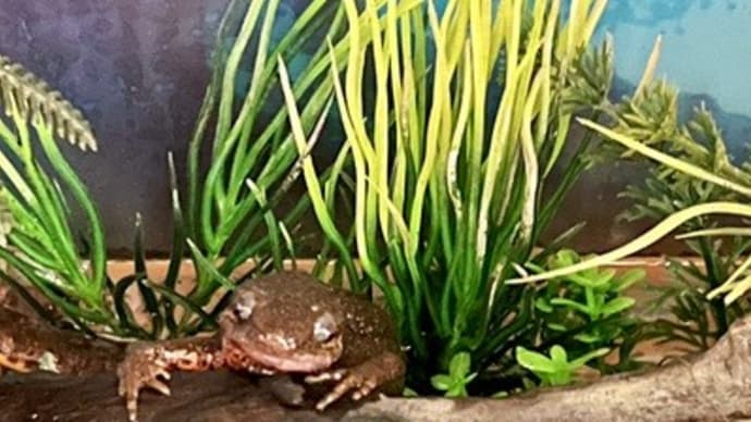久しぶり